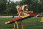 Agility, Duffy