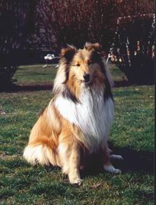 LUCA